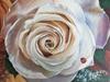 acrylic rose still life