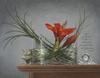 acrylic still life painting